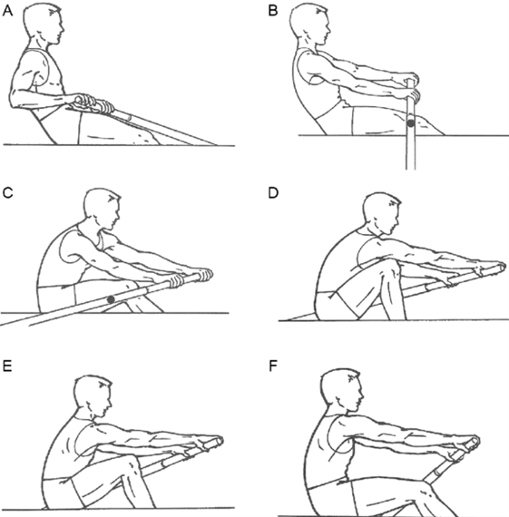 The development of rowing performance evaluation technique using high ...