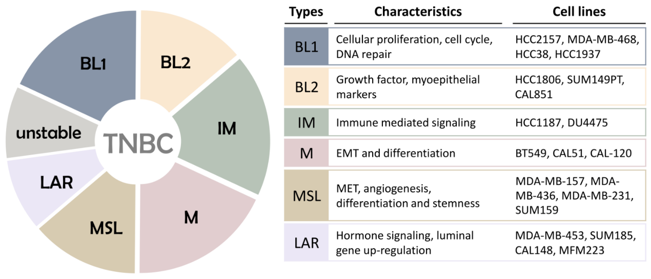 A comprehensive evaluation of monoclonal antibody therapy for triple ...