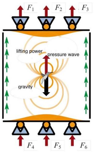 The development and application of ornithopter and the study of ...