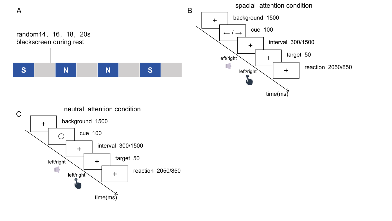 Spatial Attention under Visual-Auditory Crossmodal Paradigm