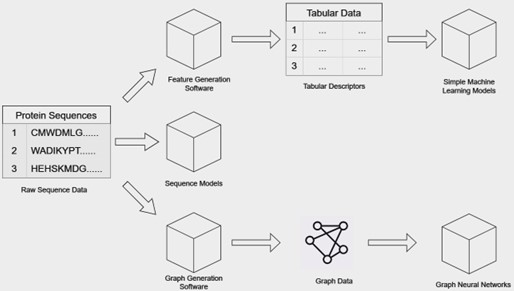 Towards thermophilic protein stability prediction: A comprehensive ...