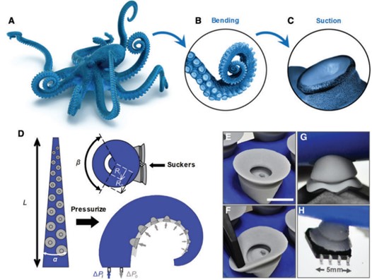 Bionic Soft Robot Review